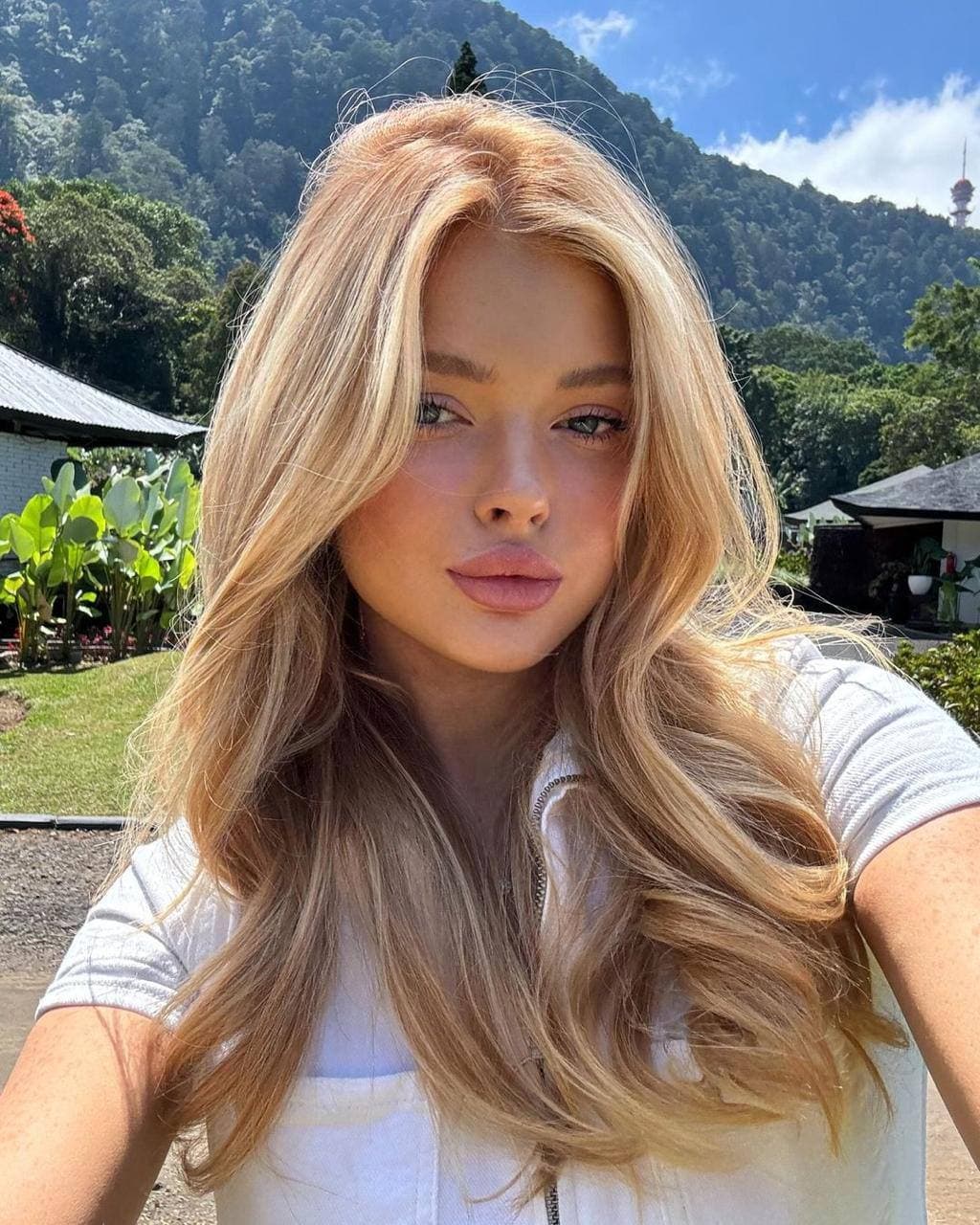 Sophie - Image 1